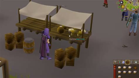 thieving guide osrs.